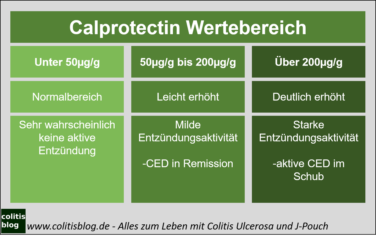 Calprotectin Wert erhöht? Das bedeutet es colitisblog.de